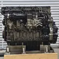 DETROIT DD15 Engine Assembly thumbnail 1