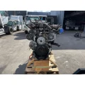 DETROIT DD15 Engine Assembly thumbnail 5