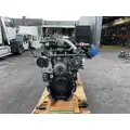 DETROIT DD15 Engine Assembly thumbnail 3