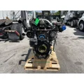 DETROIT DD15 Engine Assembly thumbnail 4
