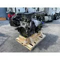 DETROIT DD15 Engine Assembly thumbnail 2