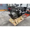 DETROIT DD15 Engine Assembly thumbnail 3