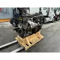 DETROIT DD15 Engine Assembly thumbnail 6