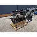 DETROIT DD15 Engine Assembly thumbnail 7