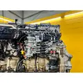 DETROIT DD15 Engine Assembly thumbnail 12