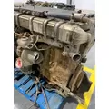 DETROIT DD15 Engine Assembly thumbnail 5