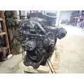 DETROIT DD15 Engine Assembly thumbnail 10