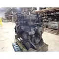 DETROIT DD15 Engine Assembly thumbnail 3