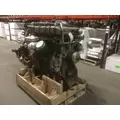 DETROIT DD15 Engine Assembly thumbnail 7