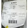 DETROIT DD15 Engine Assembly thumbnail 8