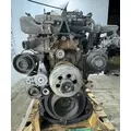 DETROIT DD15 Engine Assembly thumbnail 4