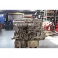 DETROIT DD15 Engine Assembly thumbnail 3