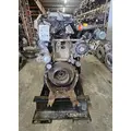 DETROIT DD15 Engine Assembly thumbnail 2
