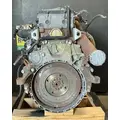 DETROIT DD15 Engine Assembly thumbnail 4