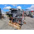 DETROIT DD15 Engine Assembly thumbnail 5