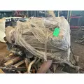DETROIT DD15 Engine Assembly thumbnail 3