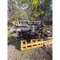 DETROIT DD15 Engine Assembly thumbnail 2
