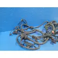 DETROIT DD15 Engine Wiring Harness thumbnail 3