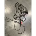 DETROIT DD15 Engine Wiring Harness thumbnail 2