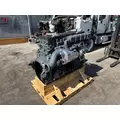 DETROIT DD16 Engine Assembly thumbnail 7