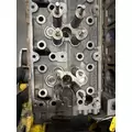 DETROIT DD16 Engine Assembly thumbnail 3