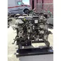 DETROIT DD8 Engine Assembly thumbnail 4