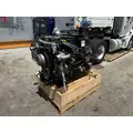 DETROIT DD8 Engine Assembly thumbnail 4