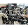 DETROIT DD8 Engine Assembly thumbnail 2