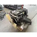 DETROIT DD8 Engine Assembly thumbnail 5