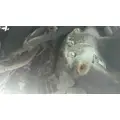 DETROIT DT12-DA (1ST GEN DIRECT) TRANSMISSION ASSEMBLY thumbnail 5