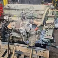 DETROIT Series 60 14.0 (ALL) Engine Assembly thumbnail 4