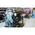 DETROIT Series 60 14.0 (ALL) Engine Assembly thumbnail 4