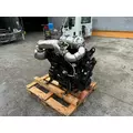 DEUTZ TCD3.6L4 Engine Assembly thumbnail 8