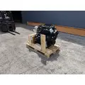 DEUTZ TCD3.6L4 Engine Assembly thumbnail 3
