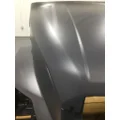 DEX  Hood thumbnail 2