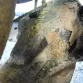 DODGE DODGE 250 PICKUP Axle Assy, Fr (4WD) thumbnail 2