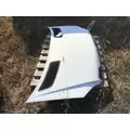 DODGE SPRINTER 3500 HOOD thumbnail 4