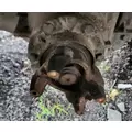 Dana 19060S Axle Assembly, Rear thumbnail 4