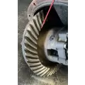 Dana N175 Rears (Rear) thumbnail 5