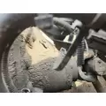 Dana Other Rears (Rear) thumbnail 3