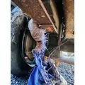 Dana Other Rears (Rear) thumbnail 3