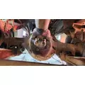 Dana RA474 Axle Assembly, Rear thumbnail 1