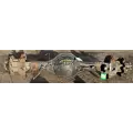 Dana S150S Axle Housing (Rear) thumbnail 2