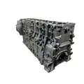 REBUILT Cylinder Block DETROIT DIESEL DD13 for sale thumbnail