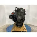 Detroit 60 SER 12.7 Engine Assembly thumbnail 4