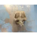 Detroit 60 SER 14.0 Fuel Filter Base thumbnail 2