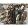 Detroit 8.2T Engine Assembly thumbnail 6