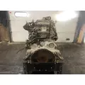 Detroit DD13 Engine Assembly thumbnail 6