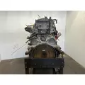 Detroit DD13 Engine Assembly thumbnail 5