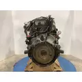 Detroit DD13 Engine Assembly thumbnail 7